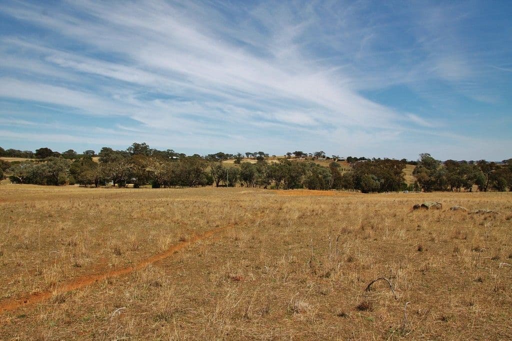 405 (Lot 3) Spring Creek Road, Young NSW 2594, Young - Thumbnail 7
