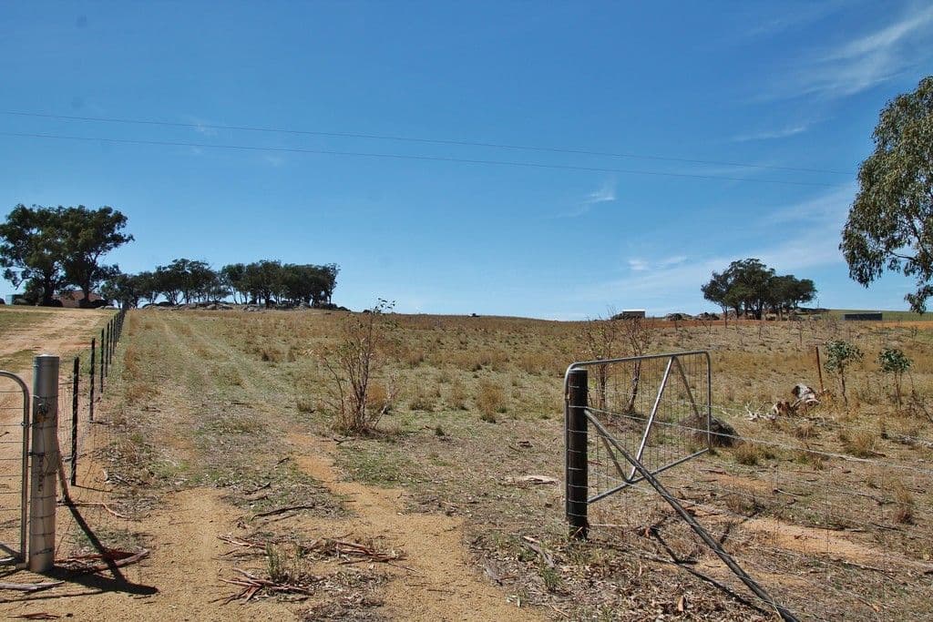 405 (Lot 3) Spring Creek Road, Young NSW 2594, Young - Thumbnail 3