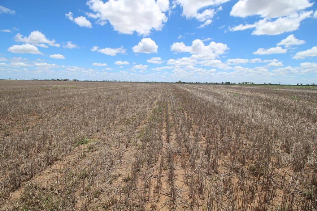 00 Tates Road, Bowenville QLD 4404, Bowenville - Thumbnail 4