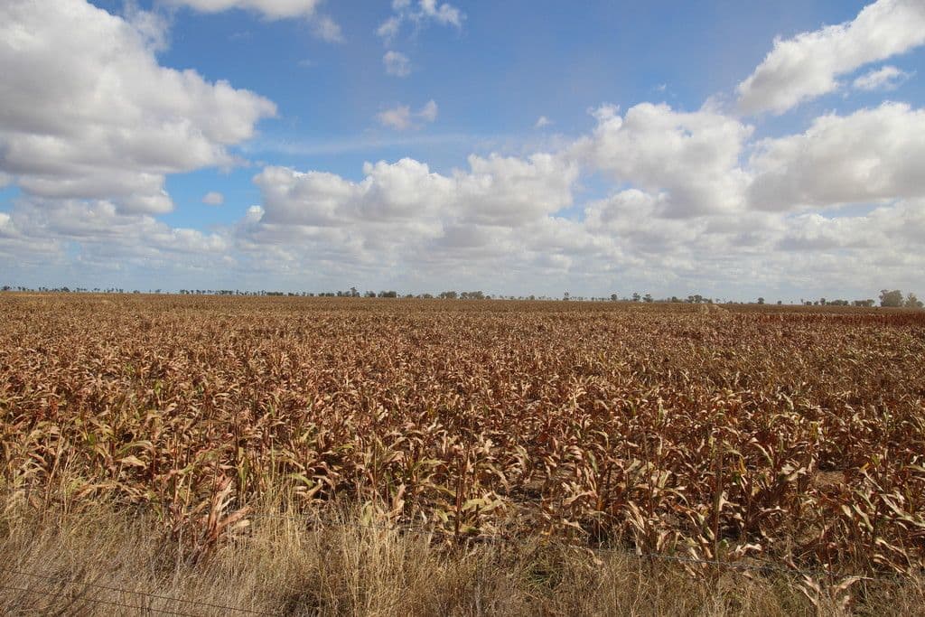 00 Tates Road, Bowenville QLD 4404, Bowenville - Thumbnail 6