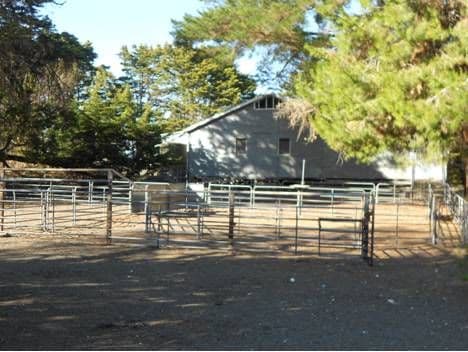 2397 Naracoorte Road, Bordertown SA 5268, Bordertown - Thumbnail 2