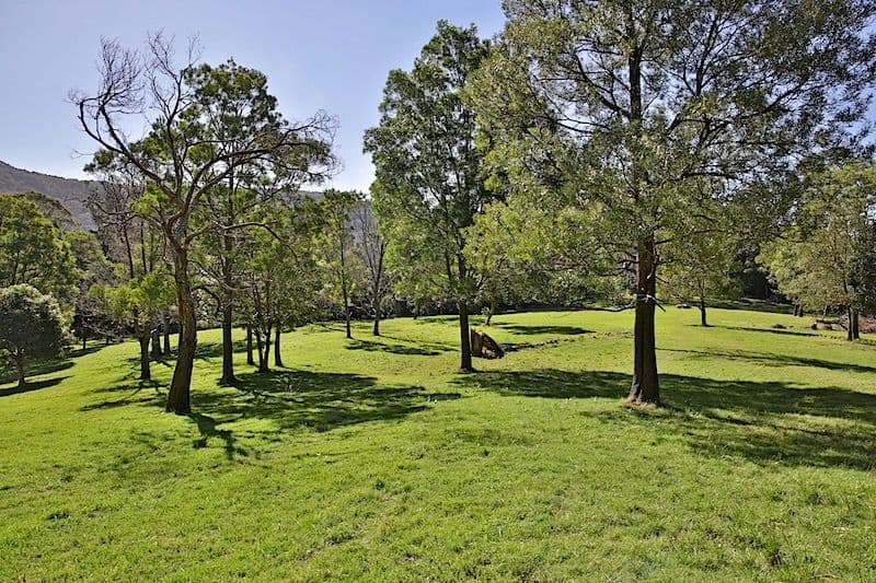 144 Jamberoo Mountain Road, Jamberoo NSW 2533, Jamberoo - Thumbnail 4