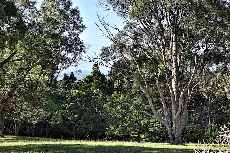 144 Jamberoo Mountain Road, Jamberoo NSW 2533, Jamberoo - Thumbnail 5