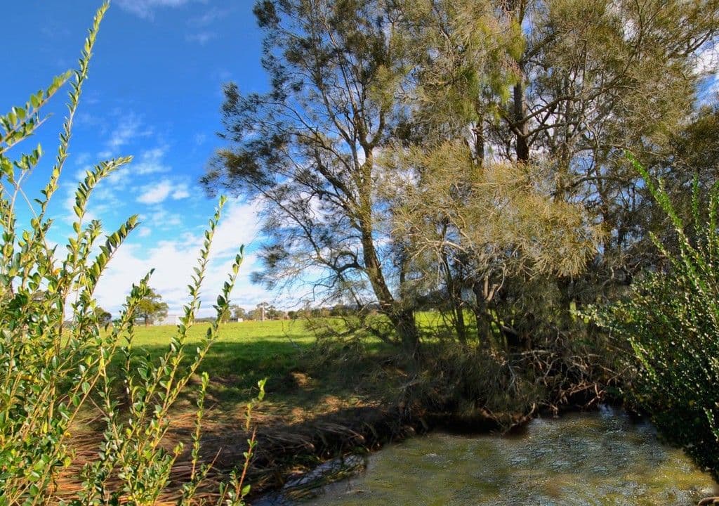 Lot 2 Morschels Lane, Meroo Meadow NSW 2540, Meroo Meadow - Thumbnail 8