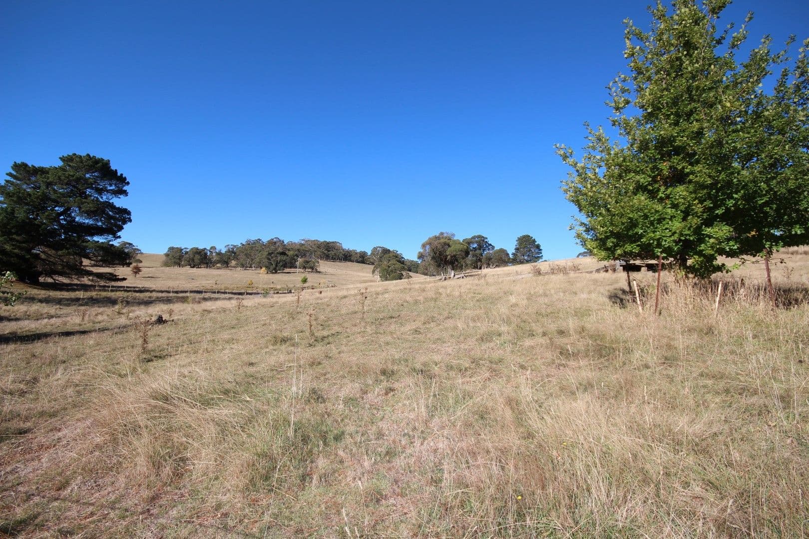 179 Chatham Valley Road, Oberon NSW 2787, Oberon - Thumbnail 5