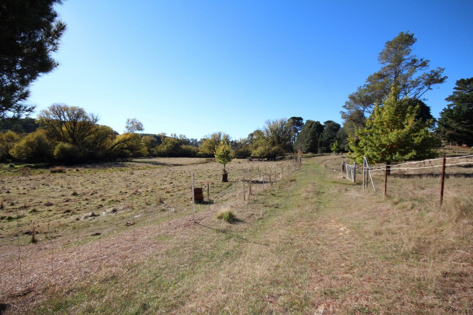 179 Chatham Valley Road, Oberon NSW 2787, Oberon - Thumbnail 4