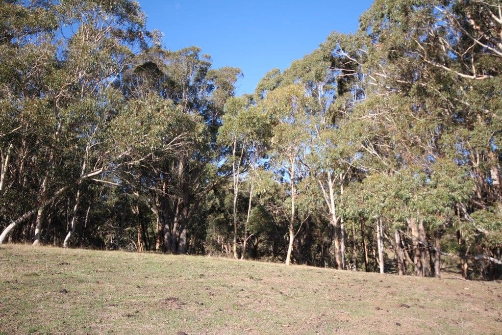 179 Chatham Valley Road, Oberon NSW 2787, Oberon - Thumbnail 7