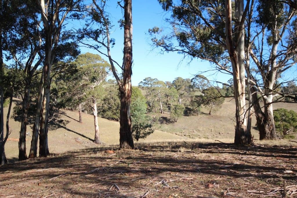 179 Chatham Valley Road, Oberon NSW 2787, Oberon - Thumbnail 8