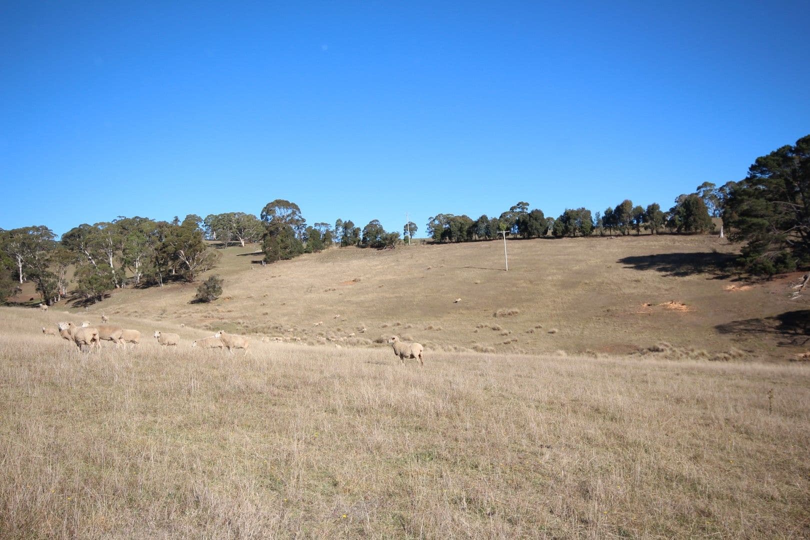 179 Chatham Valley Road, Oberon NSW 2787, Oberon - Thumbnail 6