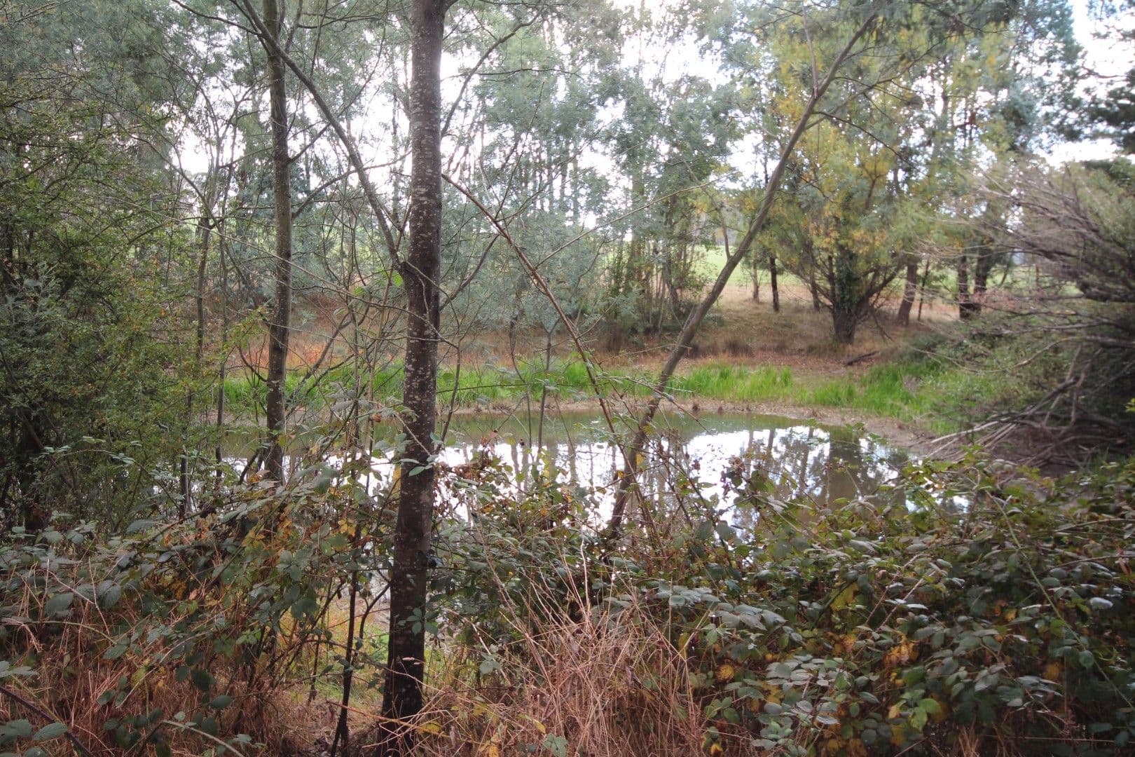1957 Edith Road, Oberon NSW 2787, Oberon - Thumbnail 8