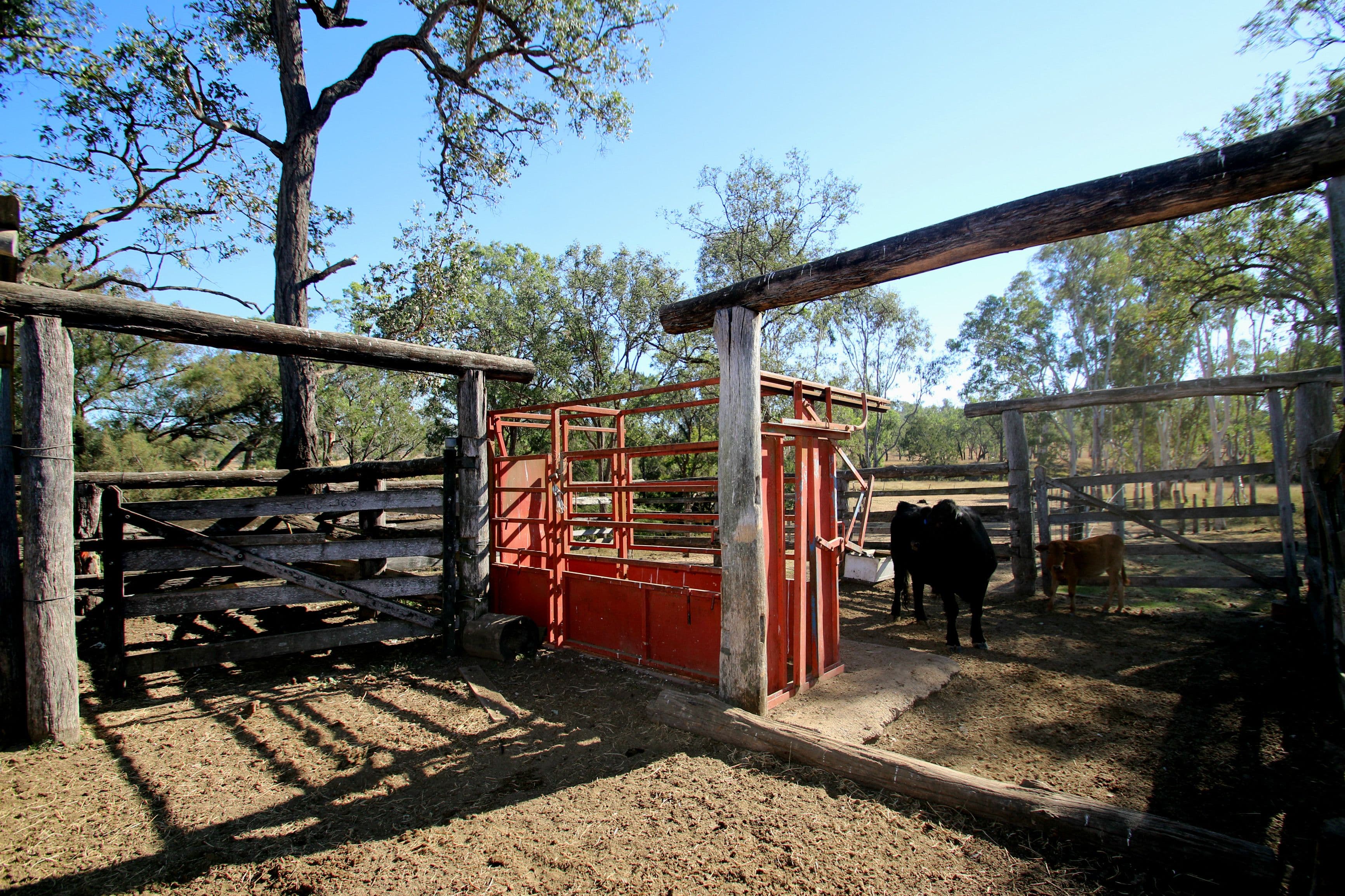 Monto QLD 4630, Monto - Thumbnail 4