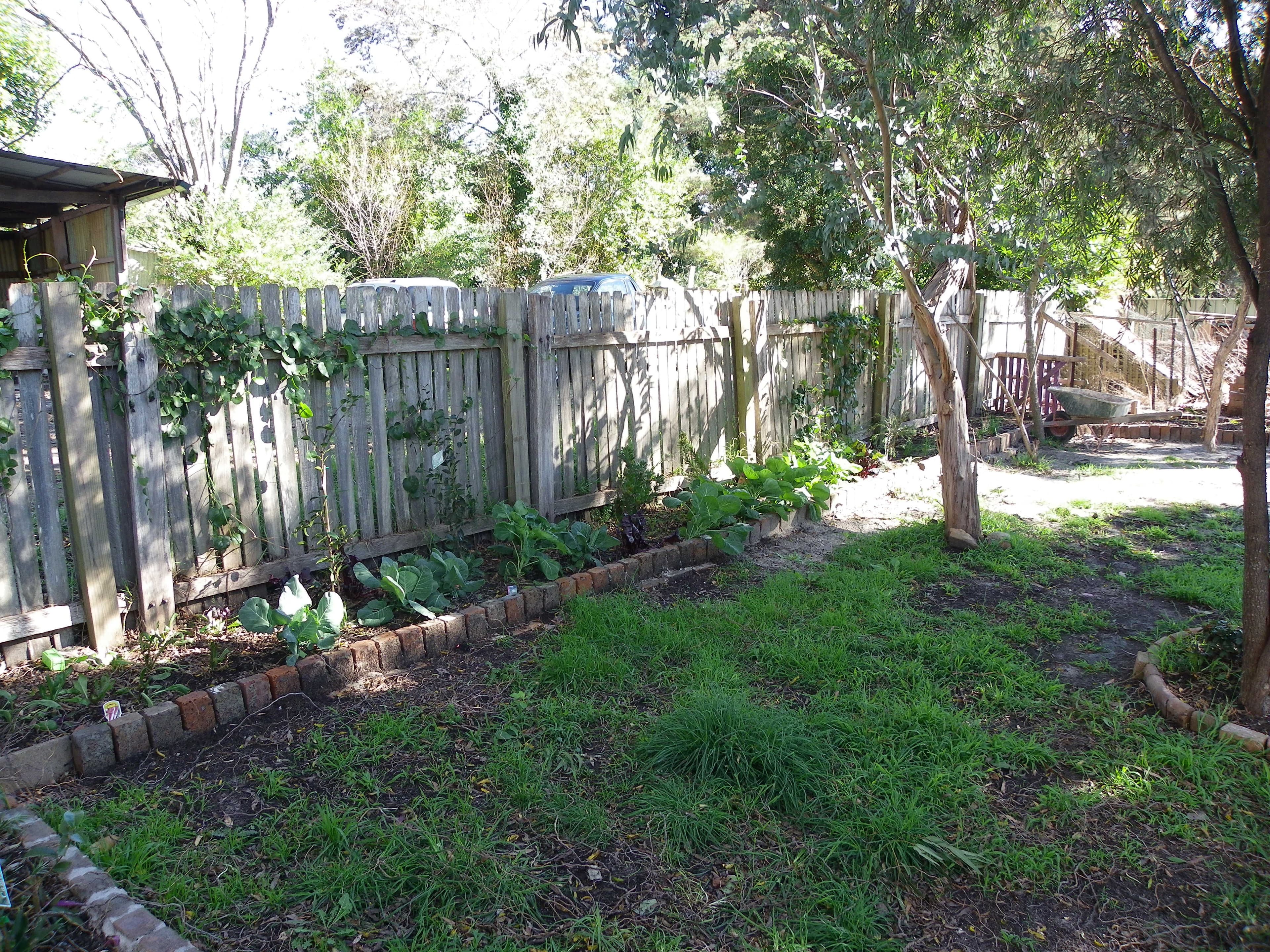 595 Argyle Street, Moss Vale - Thumbnail 8