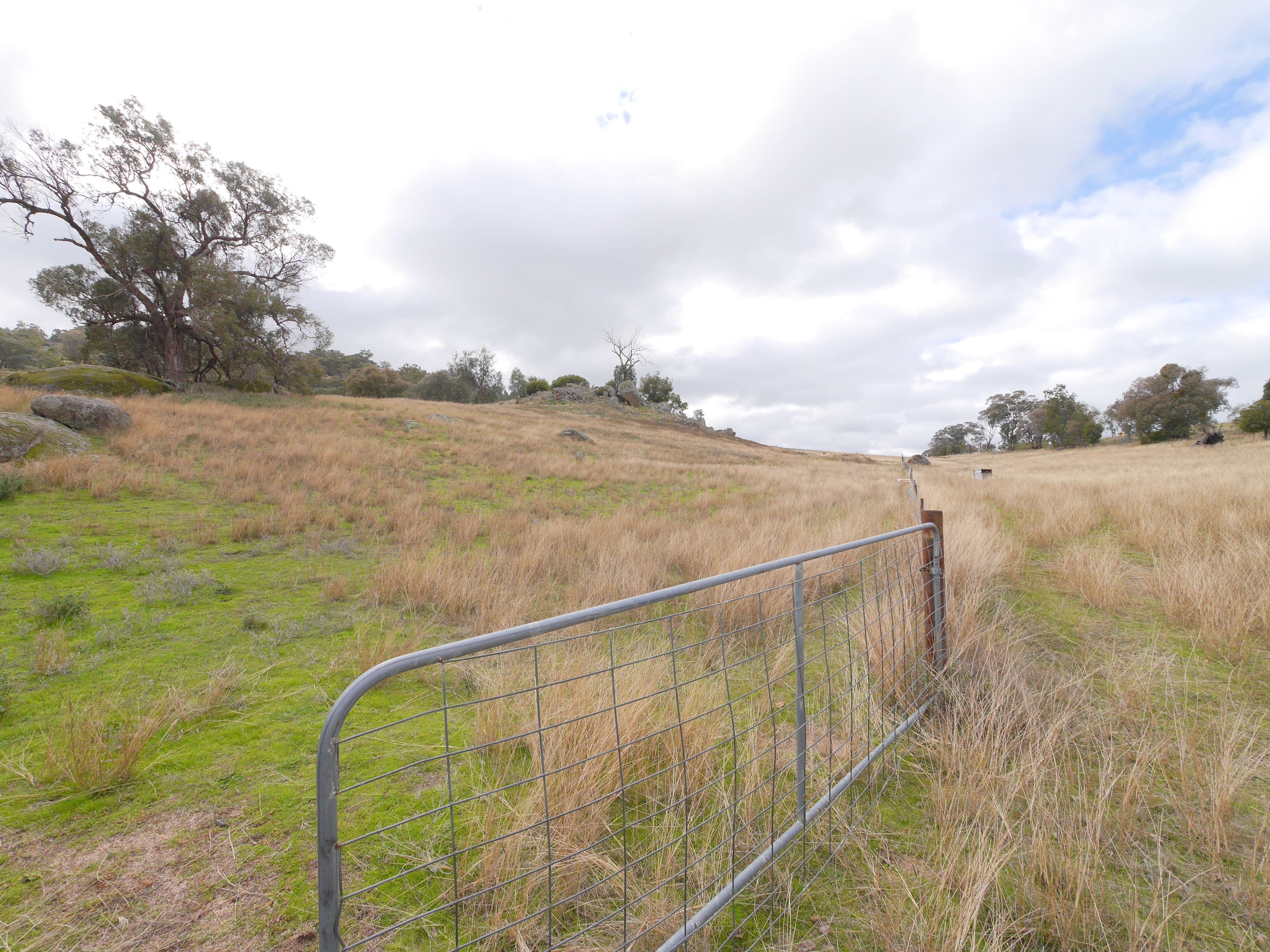 113 Mount McDonald Road, Darbys Falls NSW 2793, Darbys Falls - Thumbnail 6