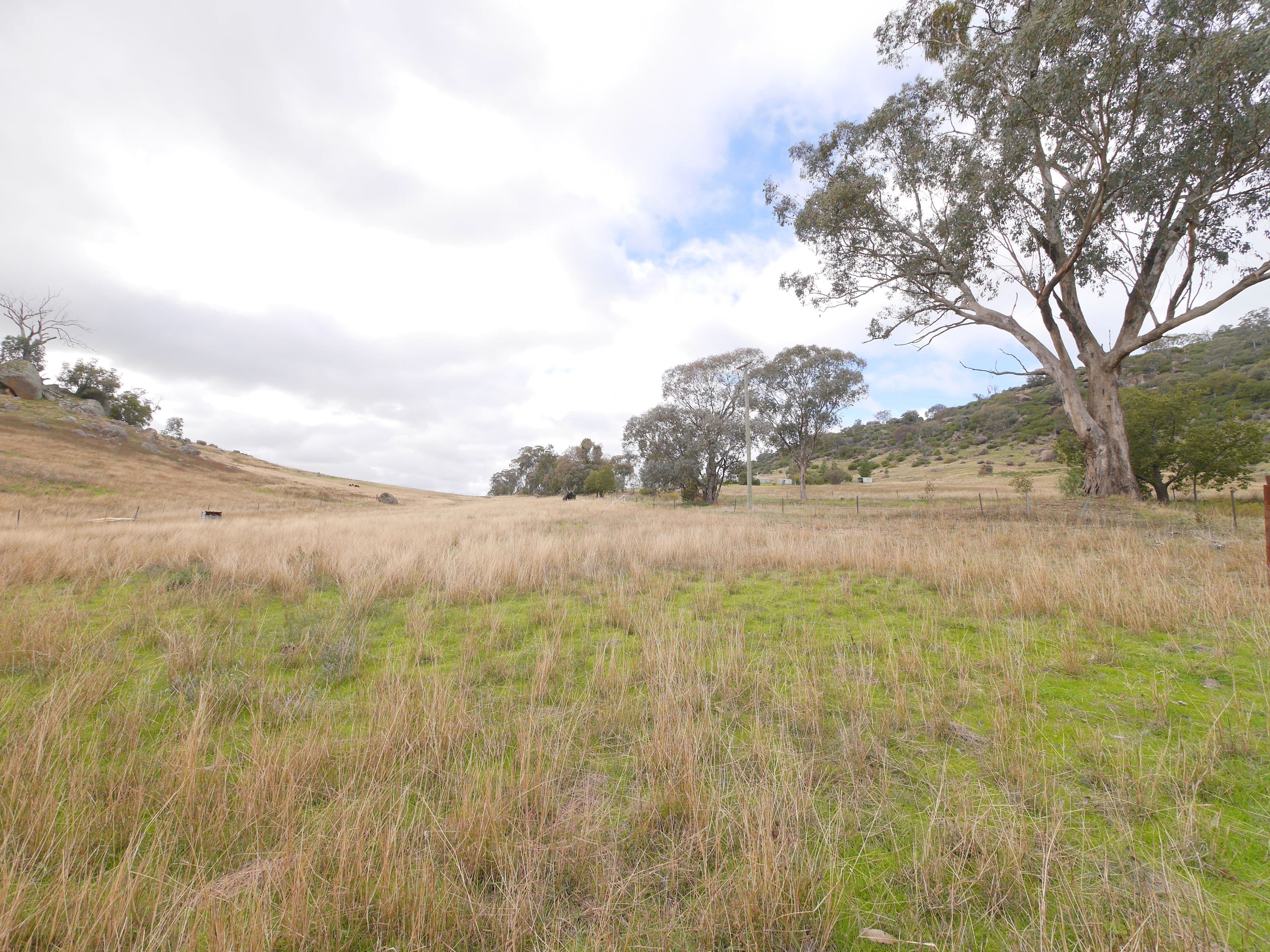 113 Mount McDonald Road, Darbys Falls NSW 2793, Darbys Falls - Thumbnail 5