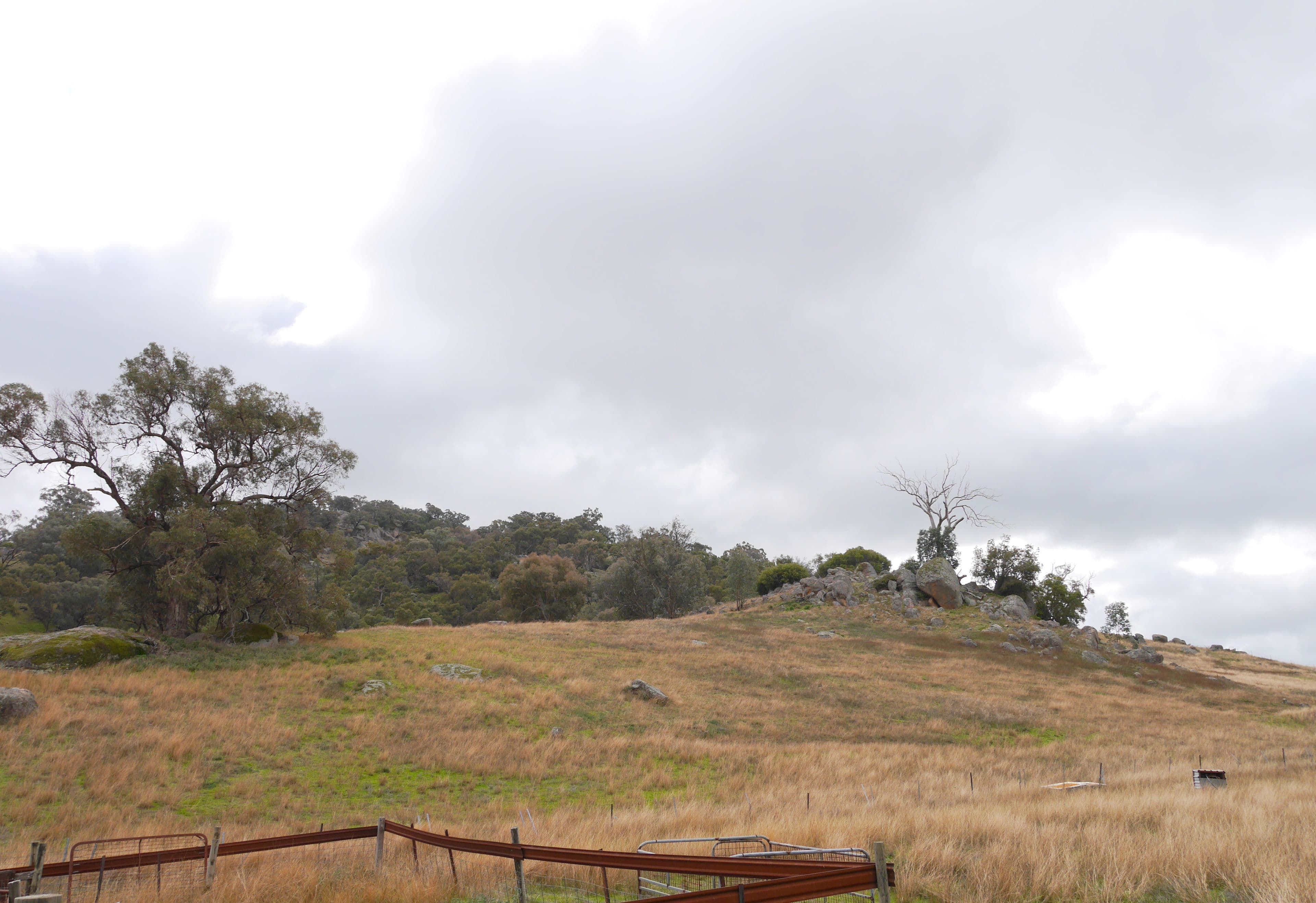 113 Mount McDonald Road, Darbys Falls NSW 2793, Darbys Falls - Thumbnail 3