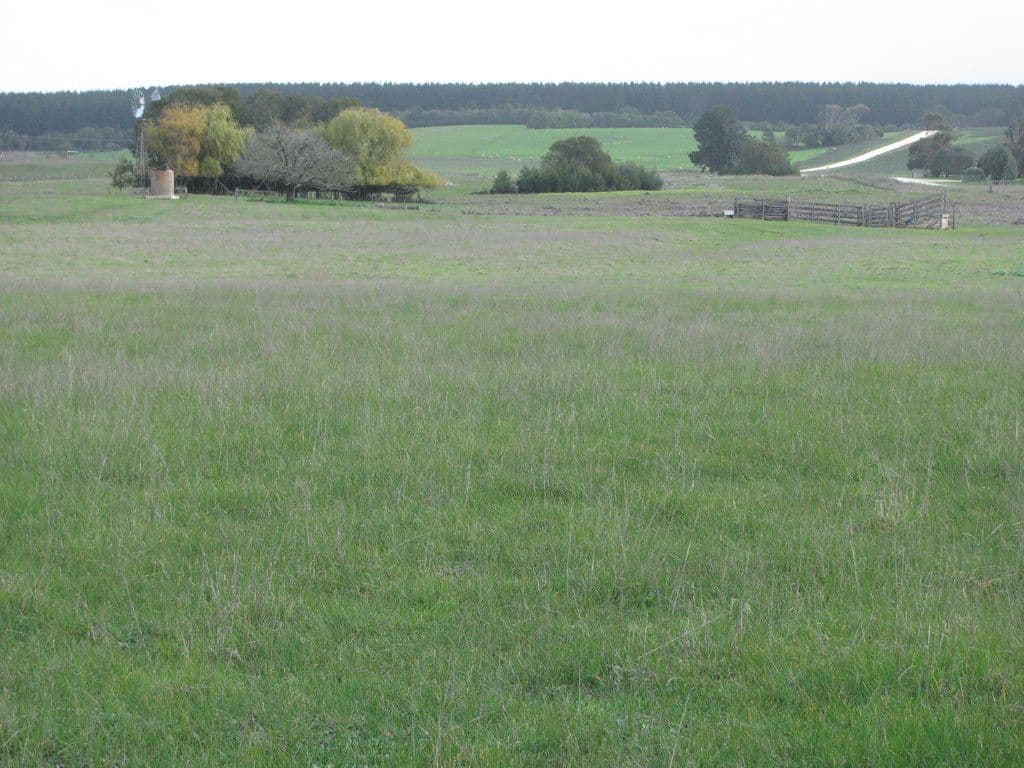 Lot 436 Hollis Road, Compton SA 5291, Compton - Thumbnail 3