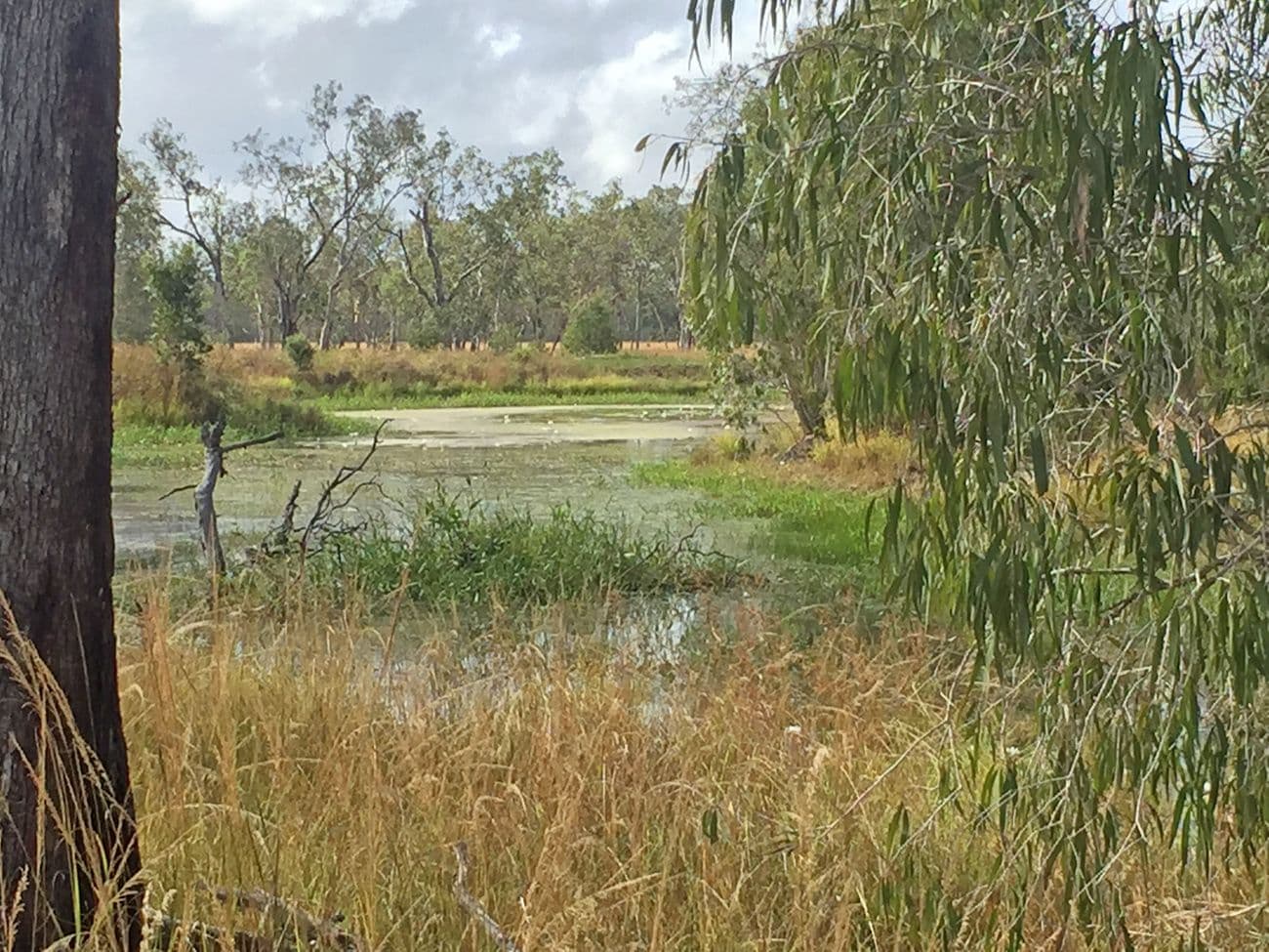 Biboohra QLD 4880, Biboohra - Thumbnail 6
