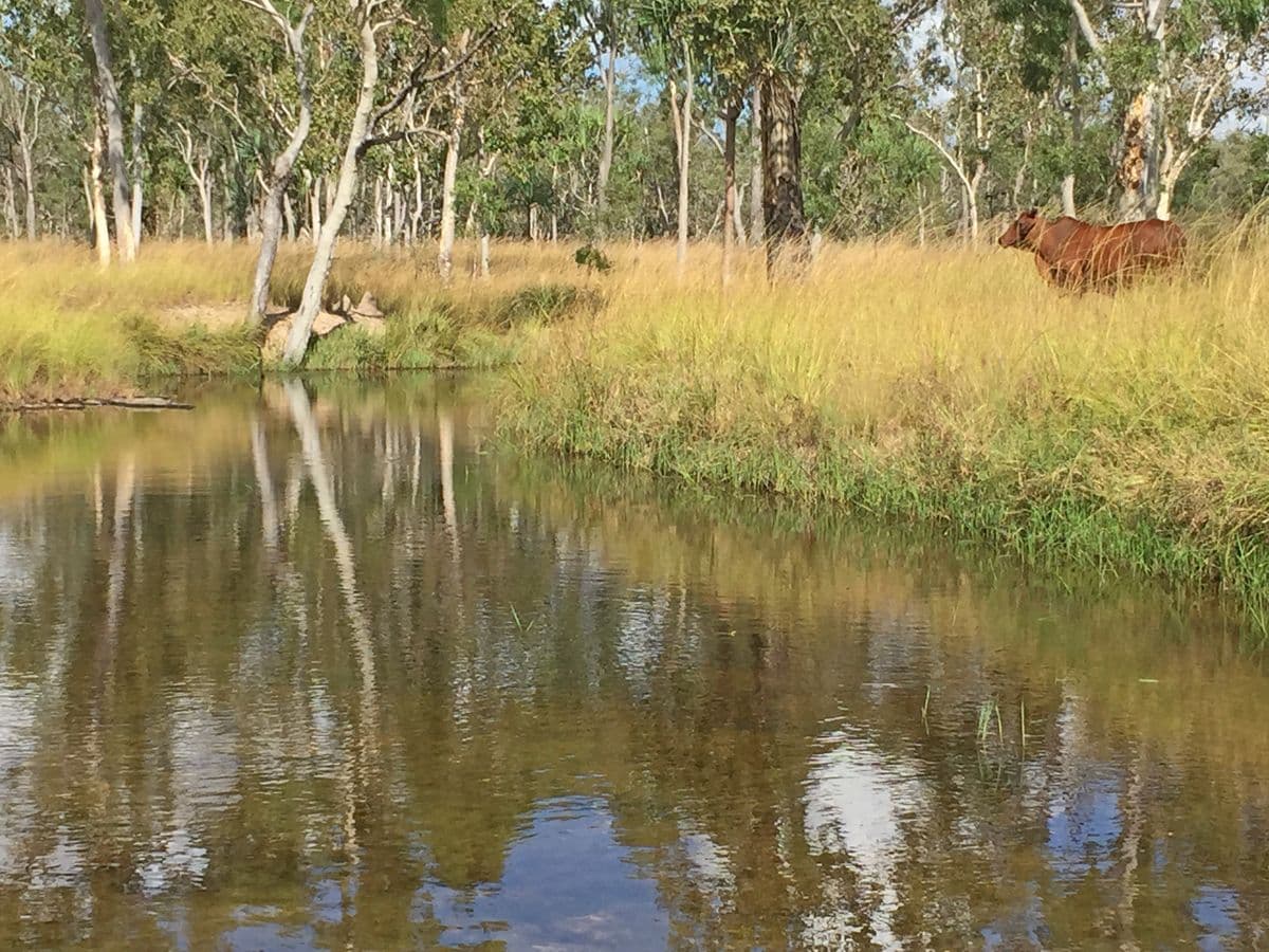 Biboohra QLD 4880, Biboohra - Thumbnail 5