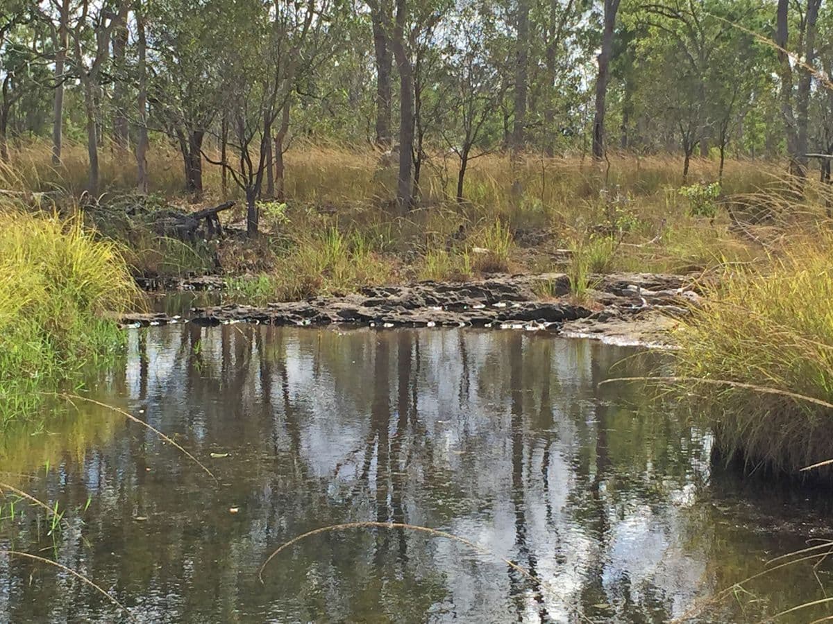 Biboohra QLD 4880, Biboohra - Thumbnail 4