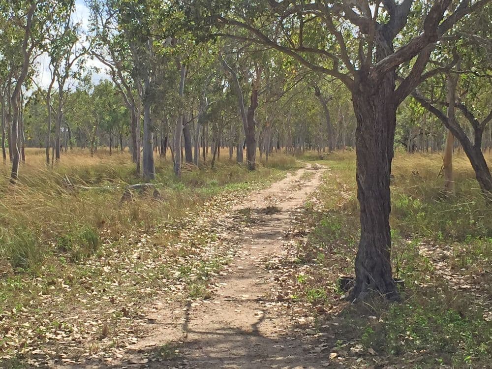Biboohra QLD 4880, Biboohra - Thumbnail 8