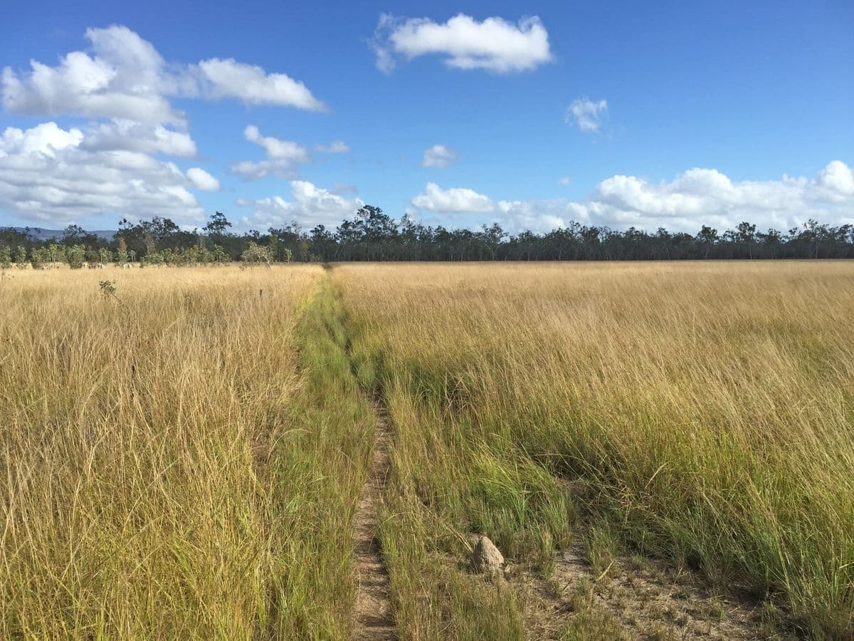 Biboohra QLD 4880, Biboohra - Thumbnail 7