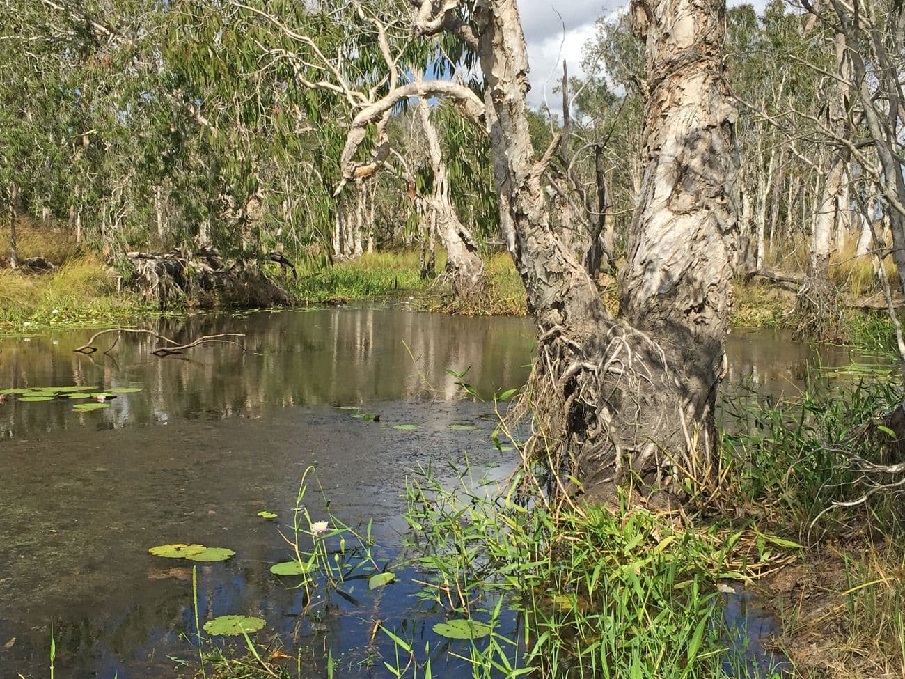 Biboohra QLD 4880, Biboohra - Thumbnail 3