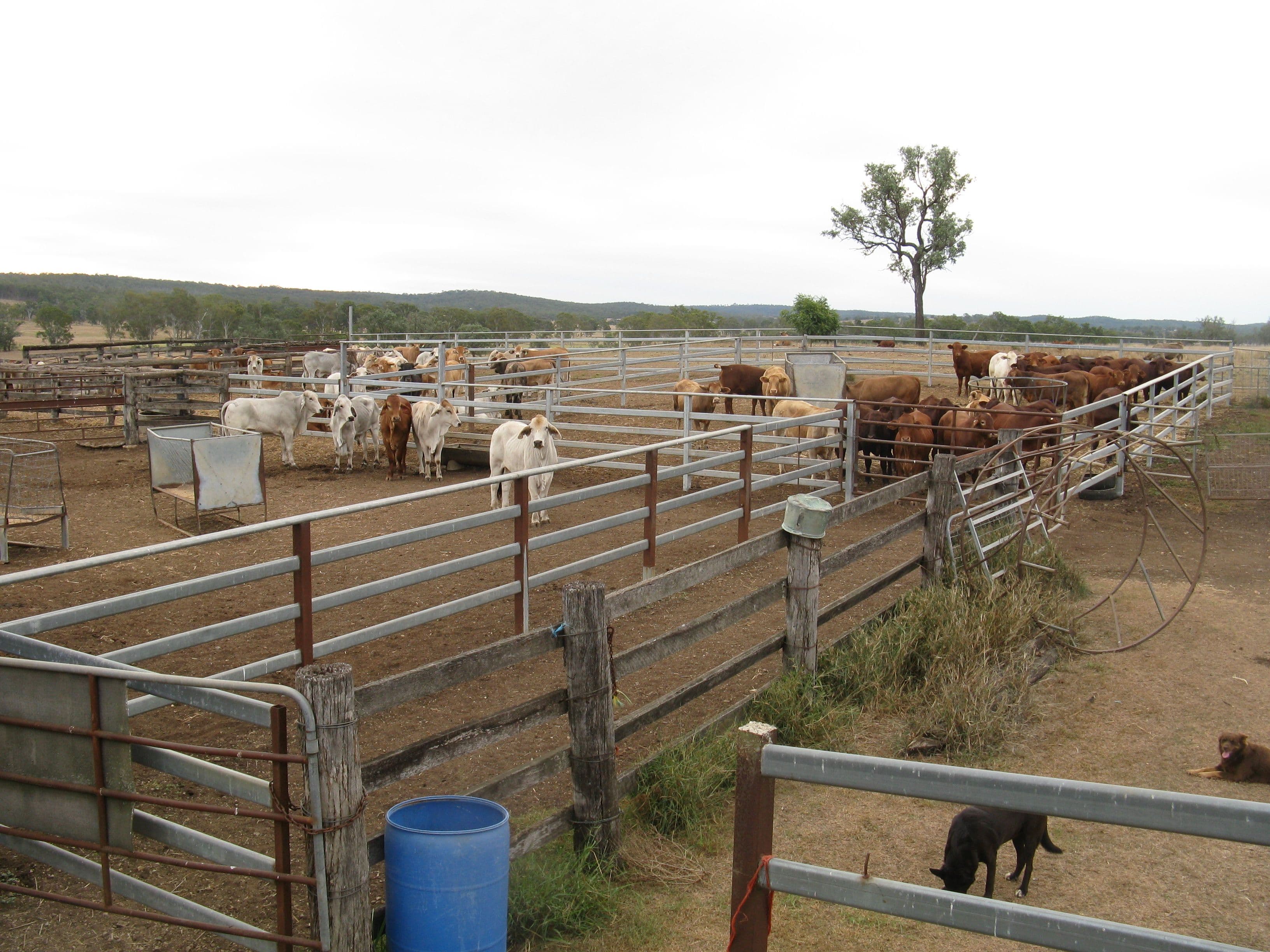 114 WILSONS Road, Murgon QLD 4605, Murgon - Thumbnail 7