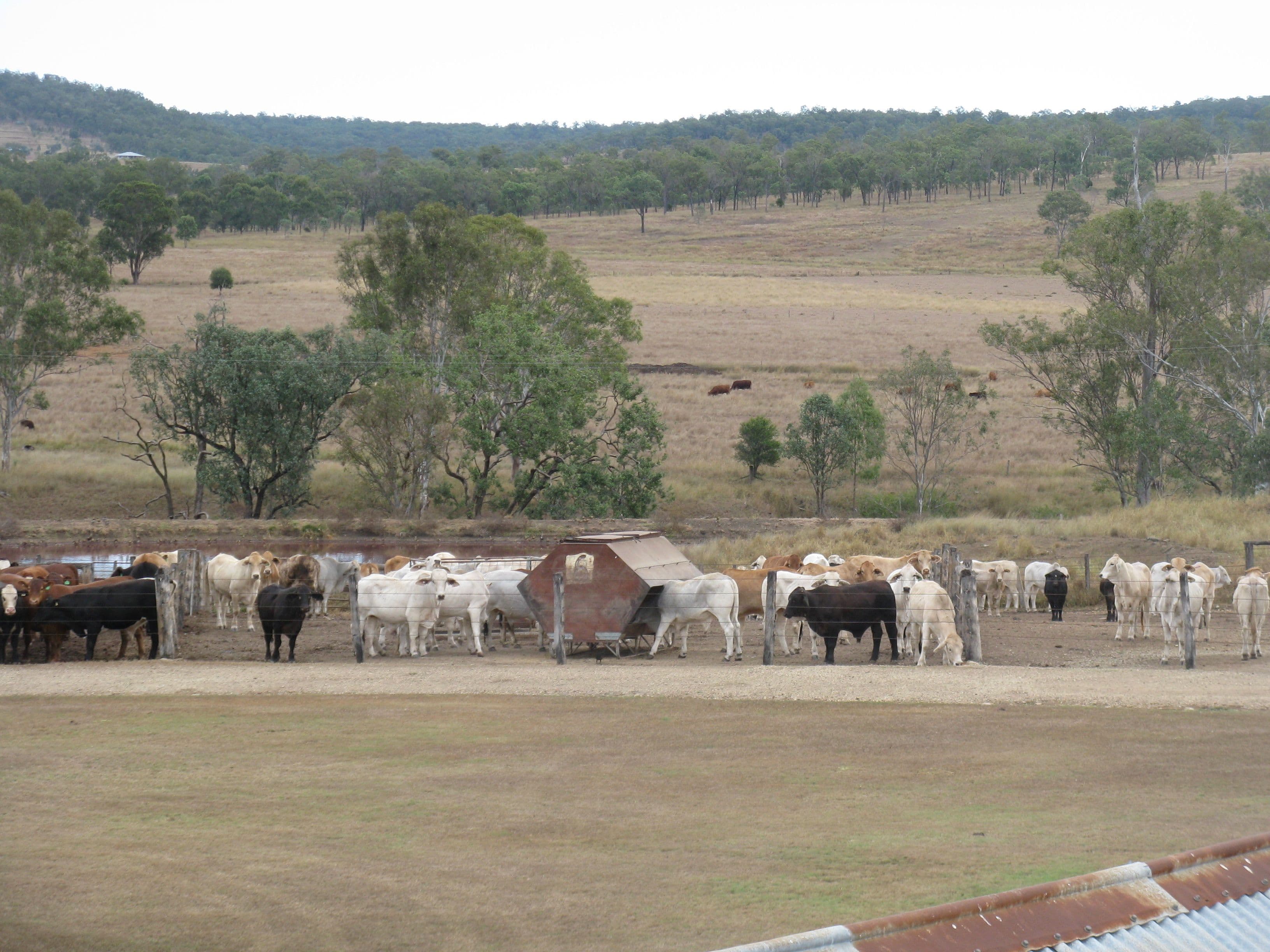 114 WILSONS Road, Murgon QLD 4605, Murgon - Image 1