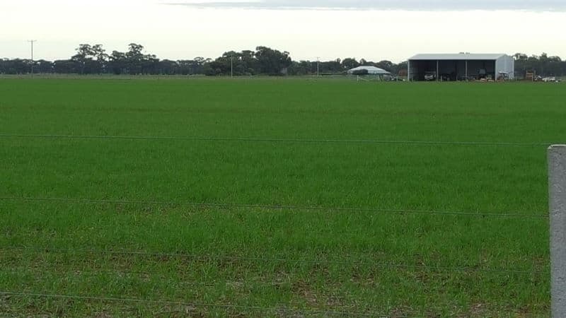 Cnr Foster Road and Diggora Road, Rochester VIC 3561, Rochester - Thumbnail 5