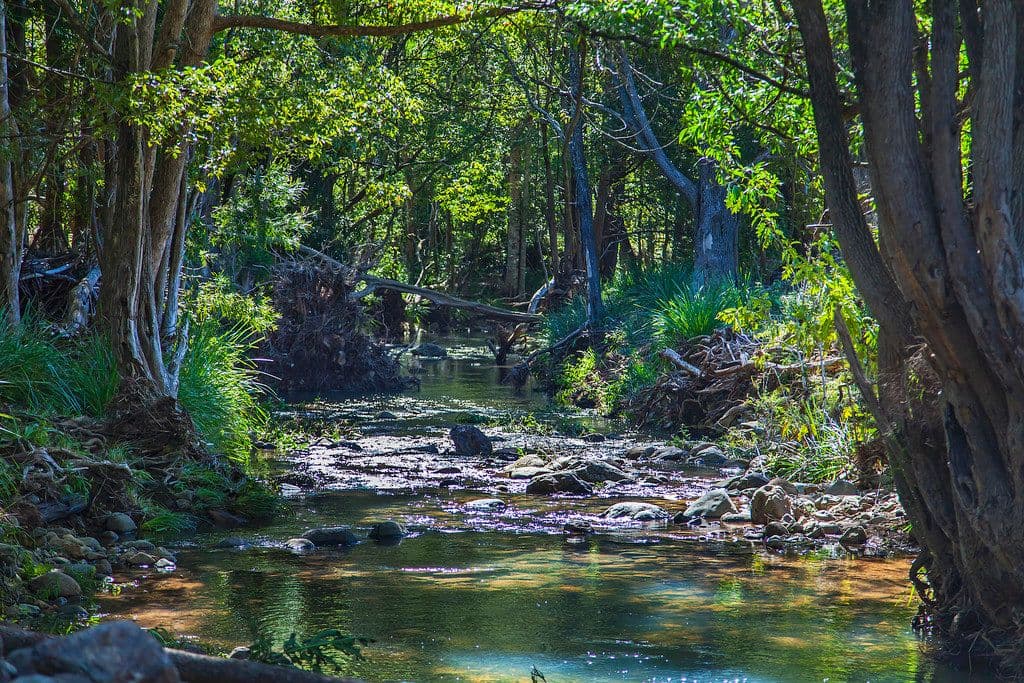 Lot 12 Billiau Road, Guanaba QLD 4210, Guanaba - Thumbnail 6