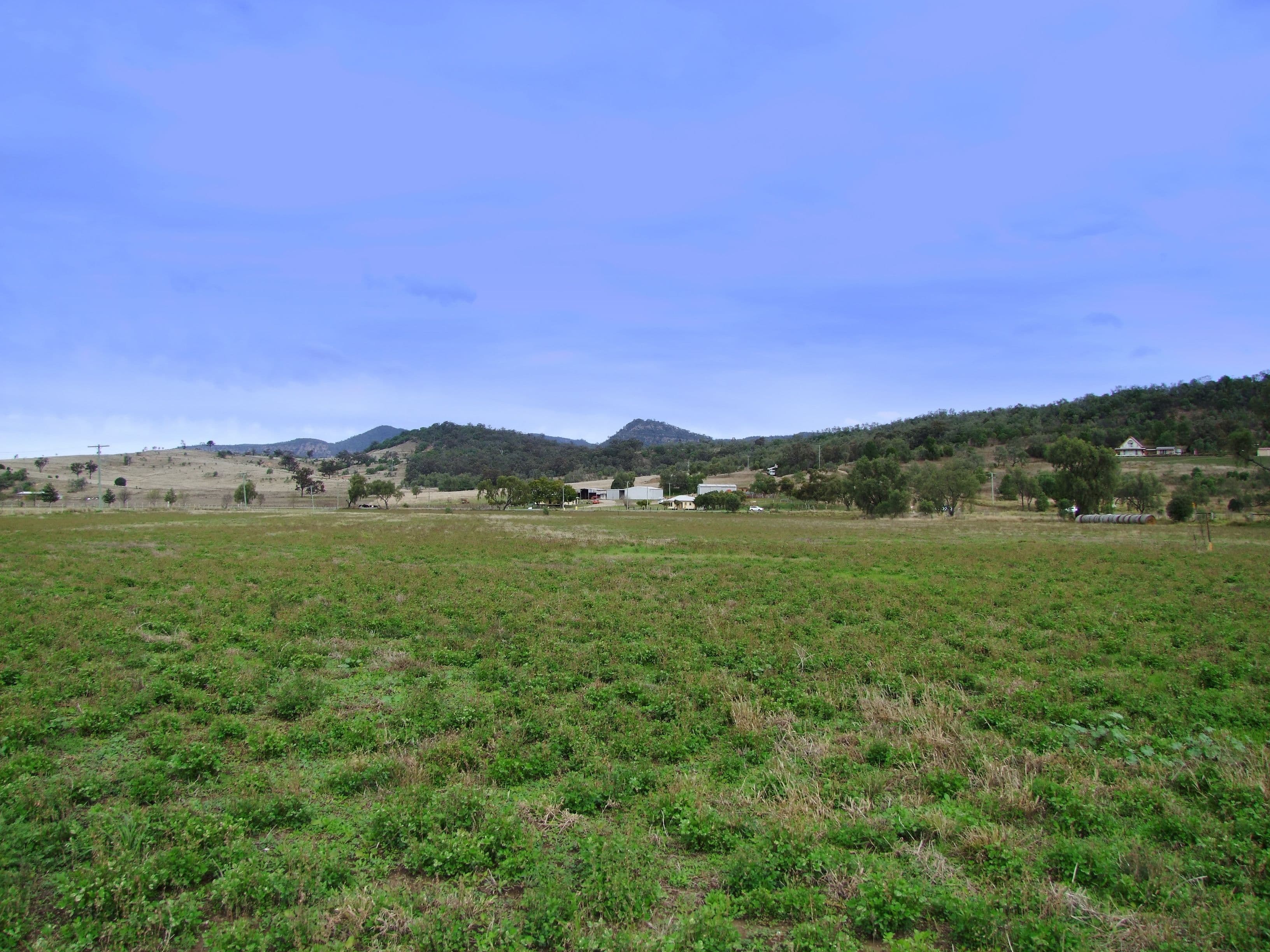 2157 Jerrys Plains Road, Jerrys Plains NSW 2330, Jerrys Plains - Thumbnail 3