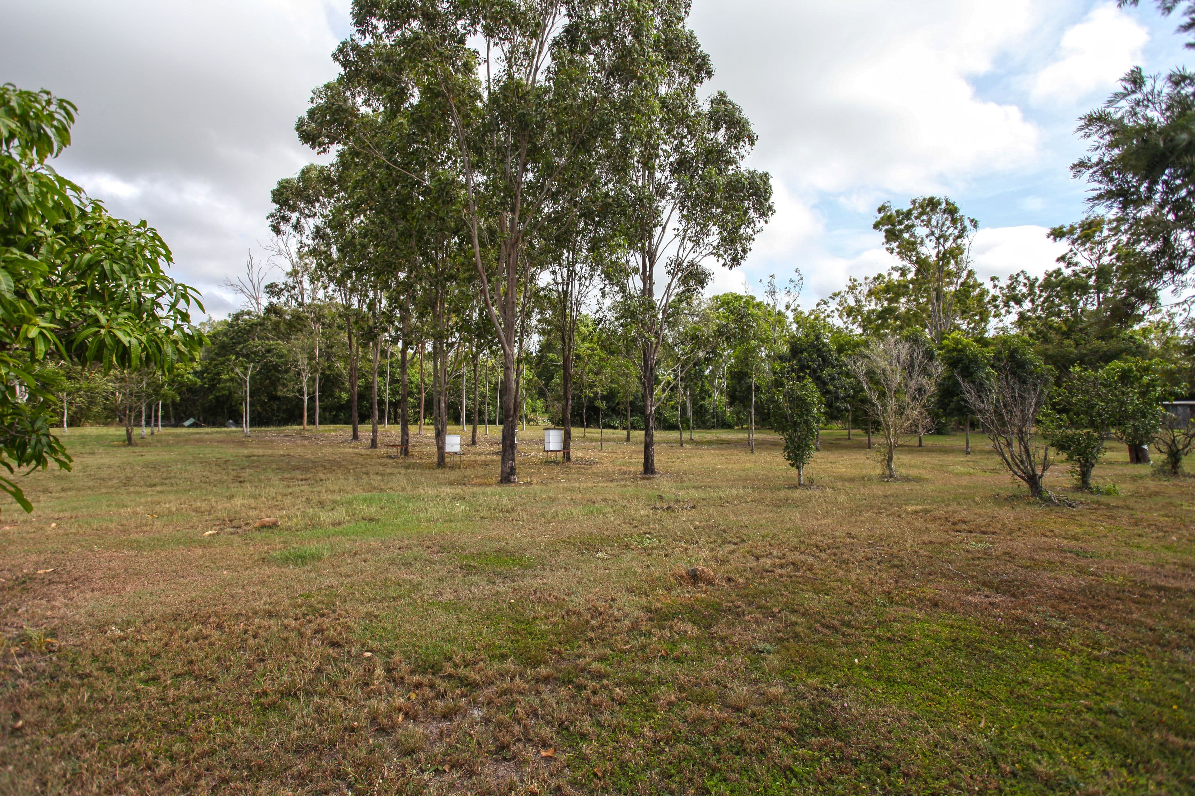 385 Kinchant Dam Road, Kinchant Dam QLD 4741, Kinchant Dam - Thumbnail 4