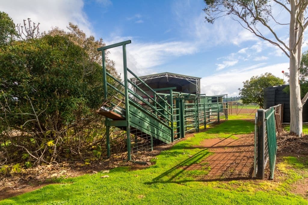 263 Camp Road, Cowra NSW 2794, Cowra - Thumbnail 6