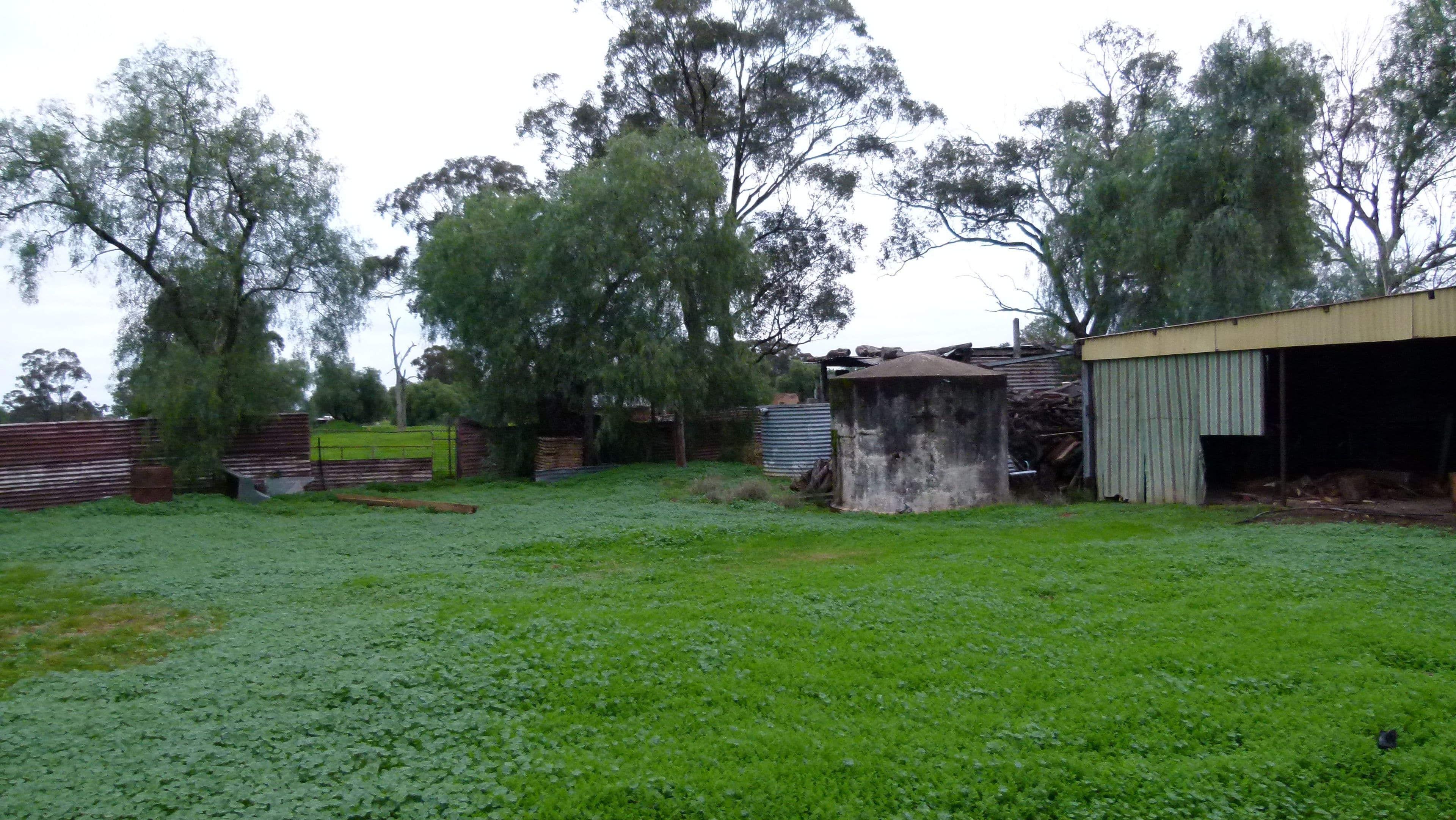 406 Daroobalgie Road, Forbes - Thumbnail 4