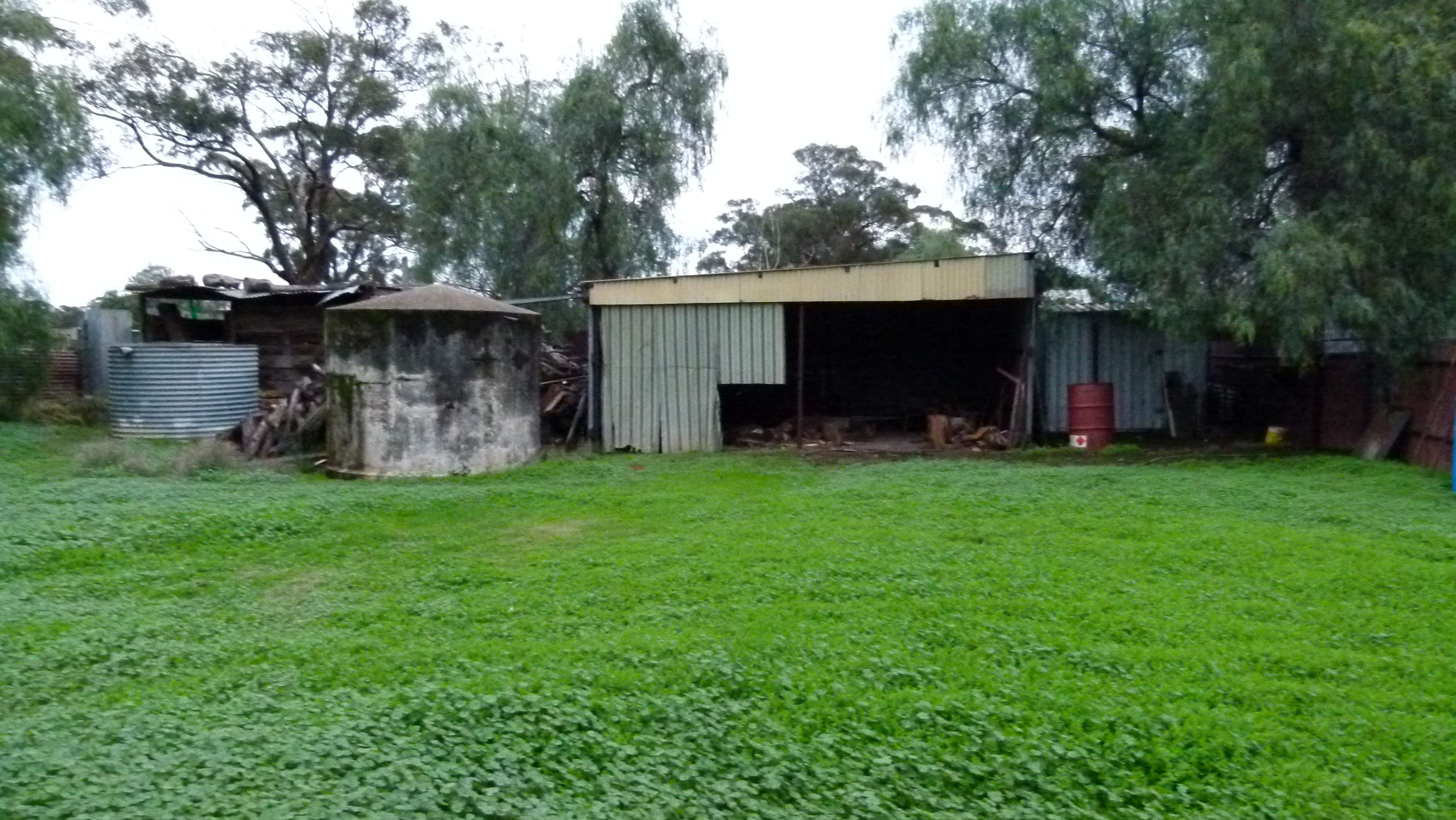 406 Daroobalgie Road, Forbes - Thumbnail 5