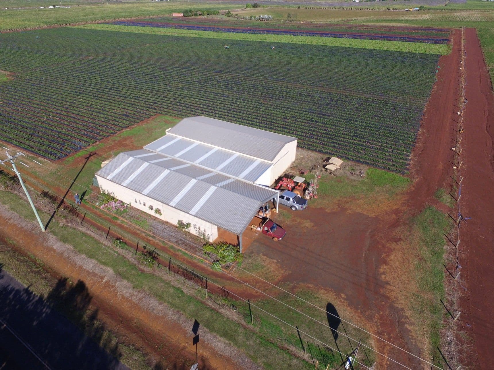 968 Elliott Heads Road, Woongarra QLD 4670, Woongarra - Thumbnail 6