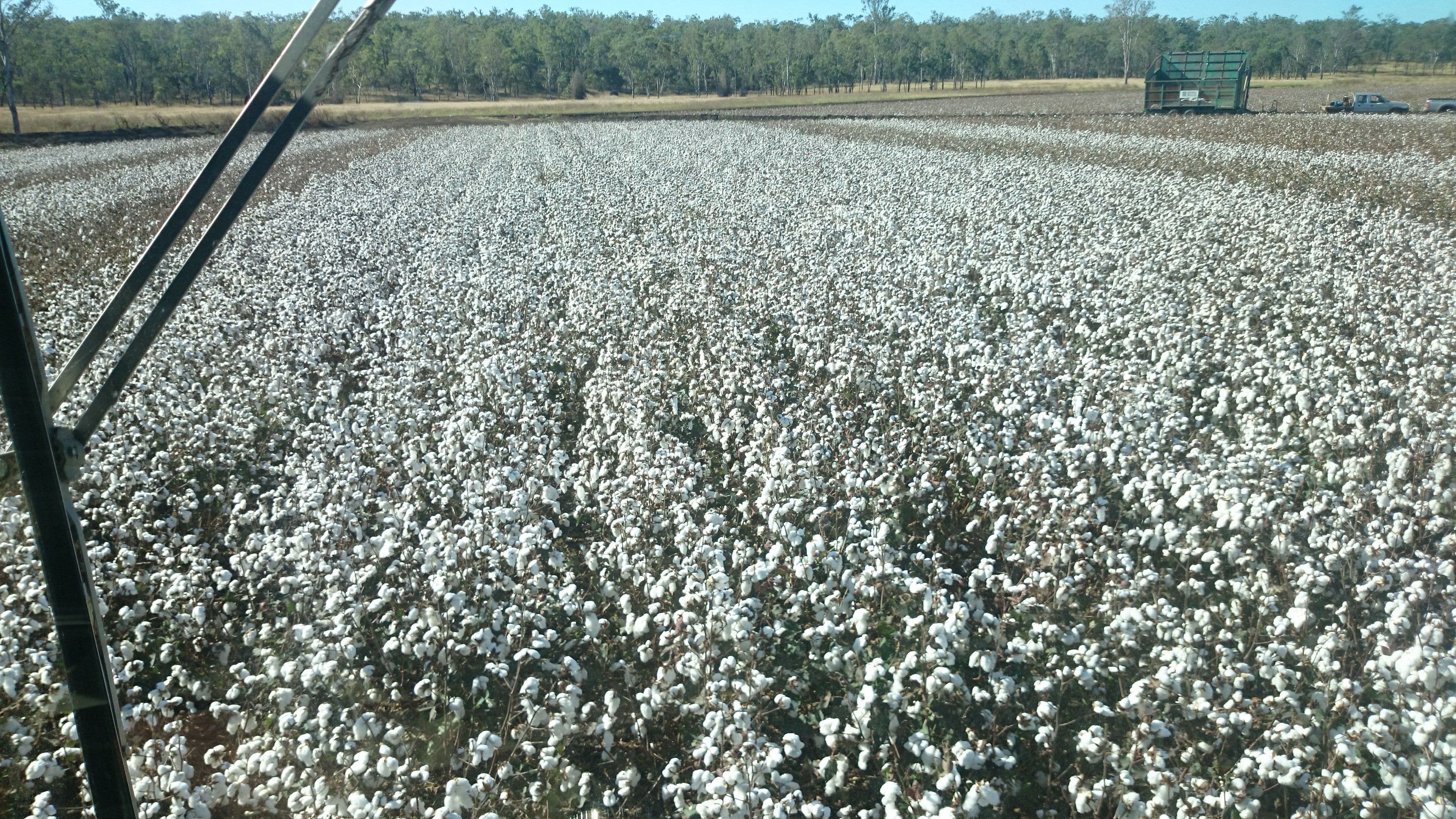 'Marshlands' Hivesville Windera Road, Wondai QLD 4606, Wondai - Thumbnail 6