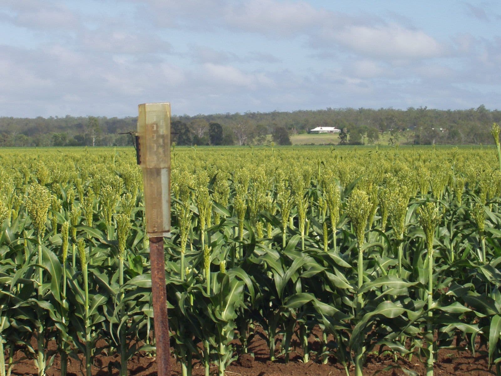 'Marshlands' Hivesville Windera Road, Wondai QLD 4606, Wondai - Thumbnail 4