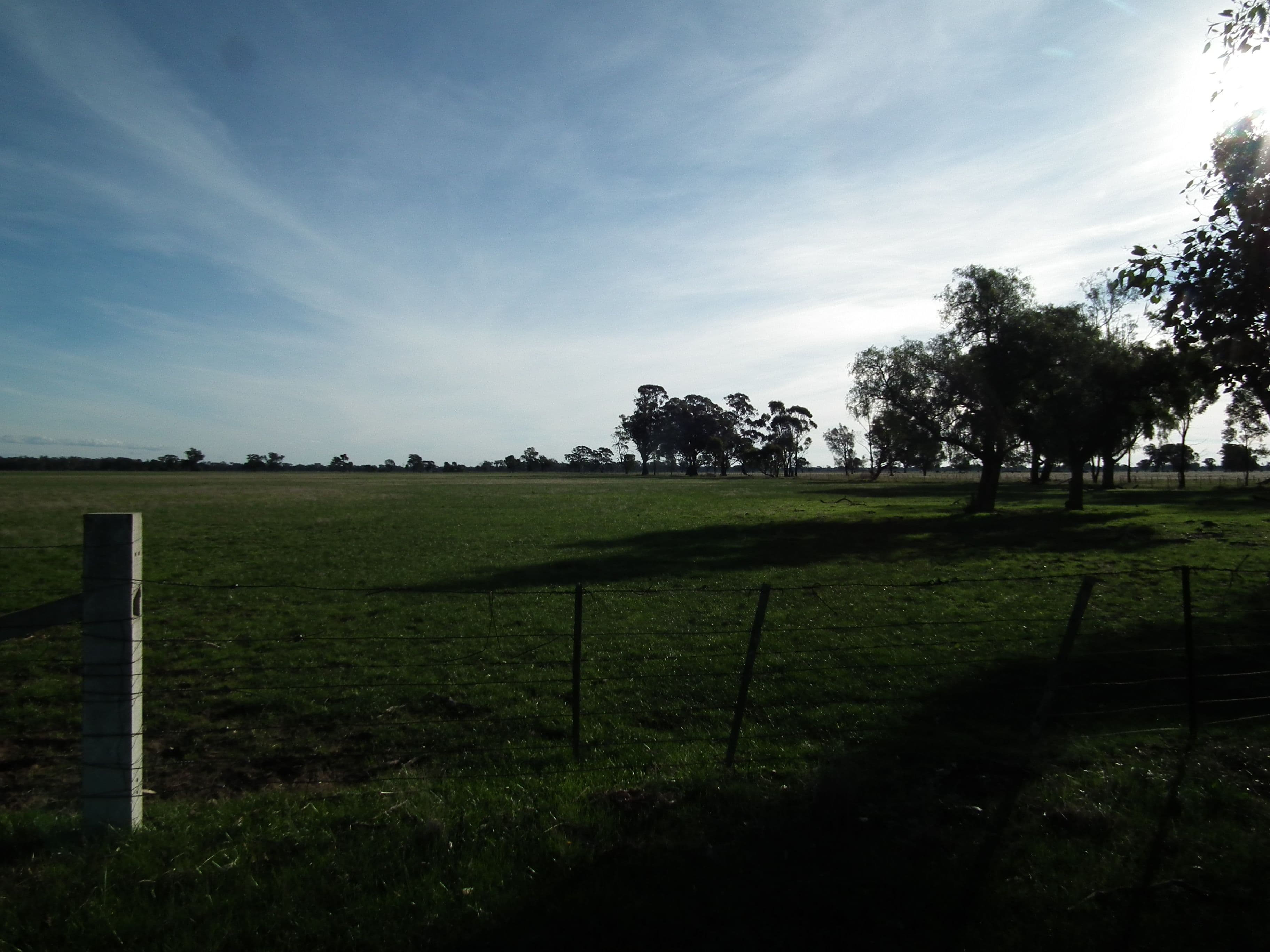 Lot 1 Daldys Road, Arcadia VIC 3631, Arcadia - Thumbnail 2