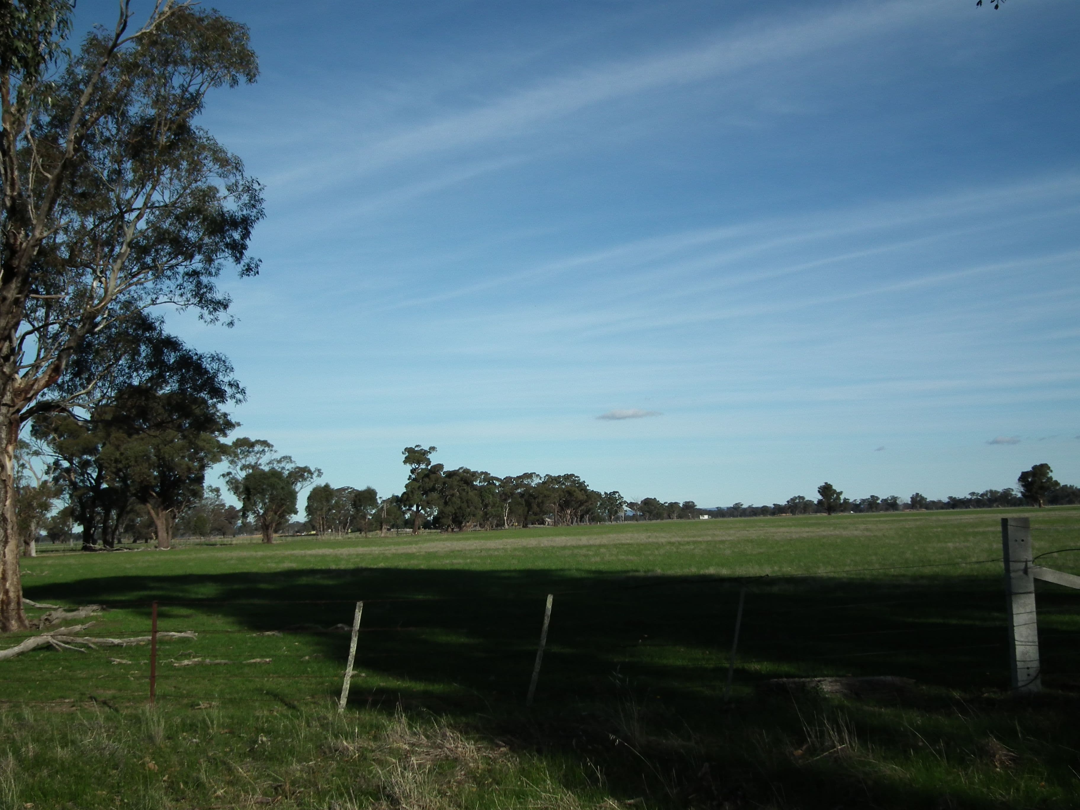 Lot 1 Daldys Road, Arcadia VIC 3631, Arcadia - Thumbnail 3