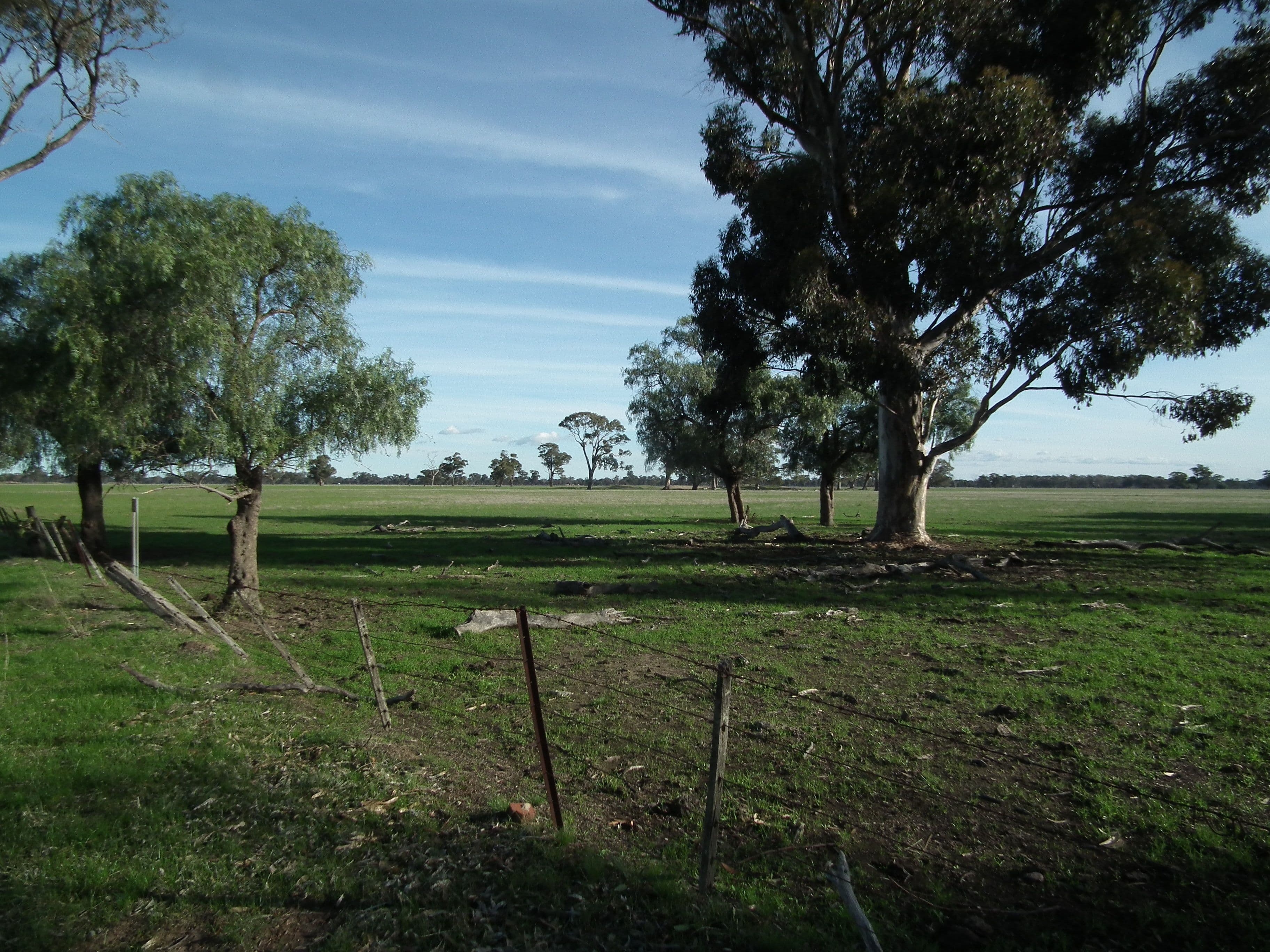 Lot 1 Daldys Road, Arcadia VIC 3631, Arcadia - Thumbnail 5
