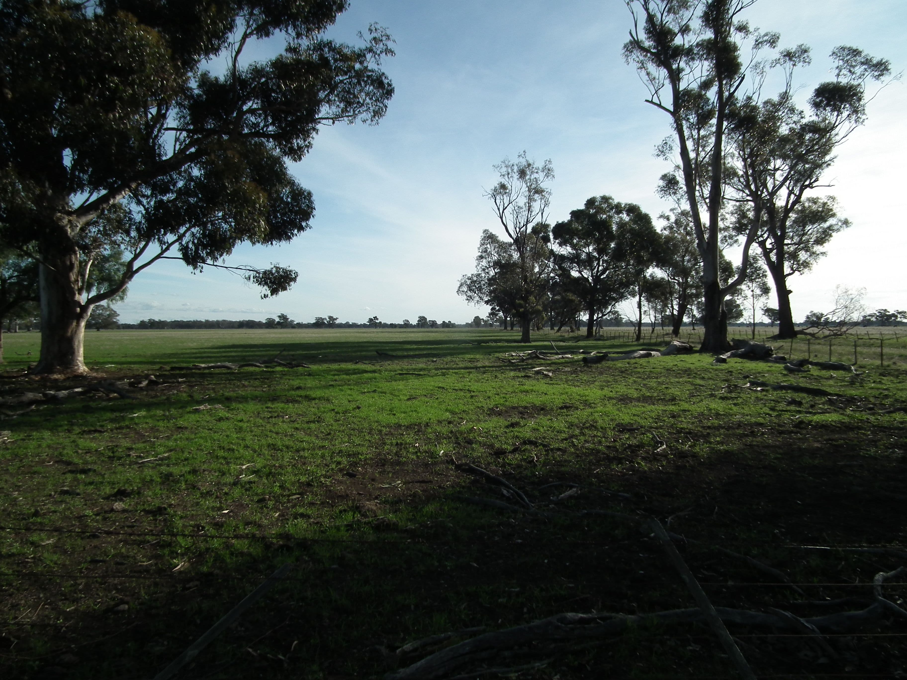 Lot 1 Daldys Road, Arcadia VIC 3631, Arcadia - Image 1