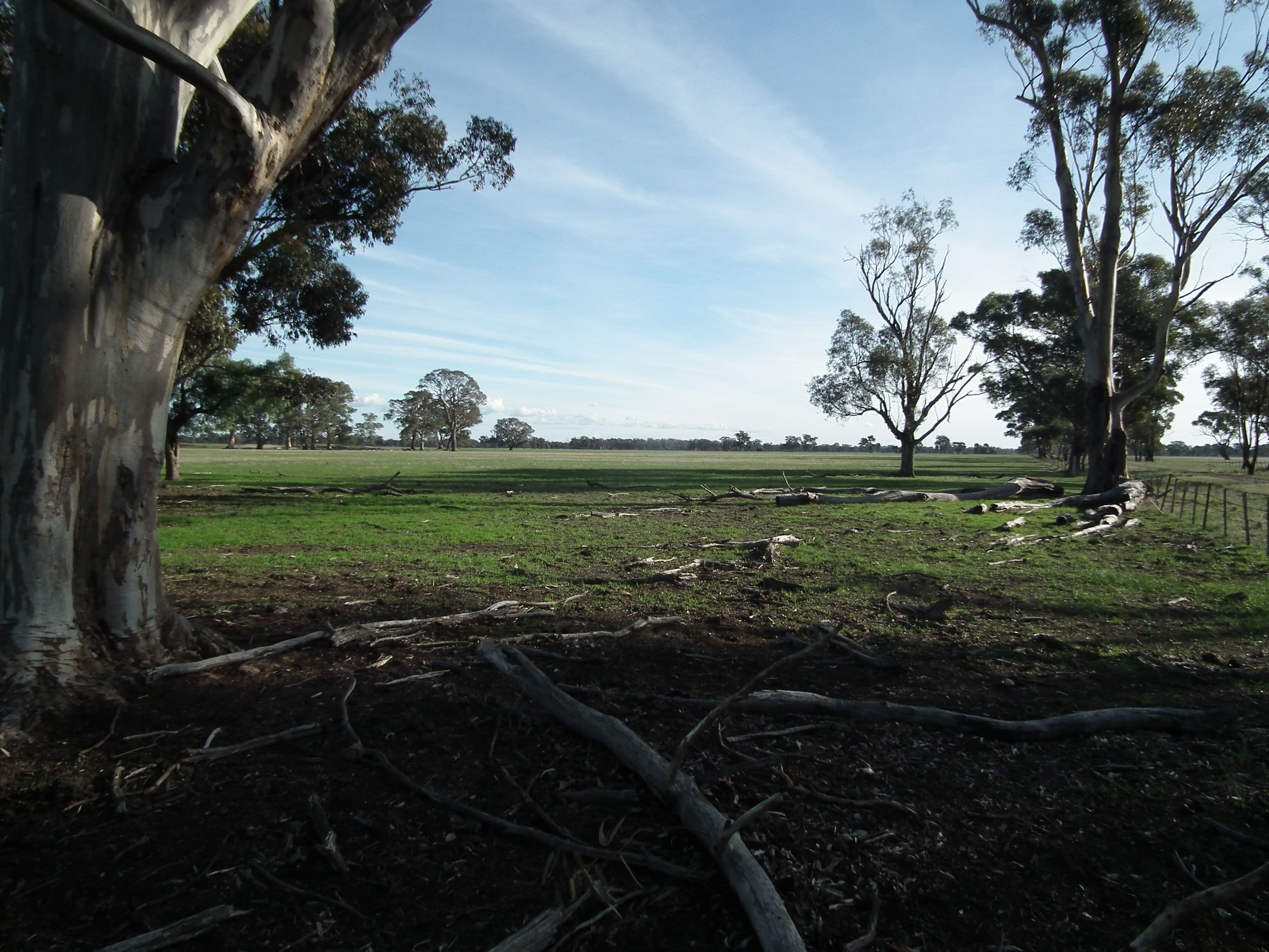 Lot 1 Daldys Road, Arcadia VIC 3631, Arcadia - Thumbnail 6