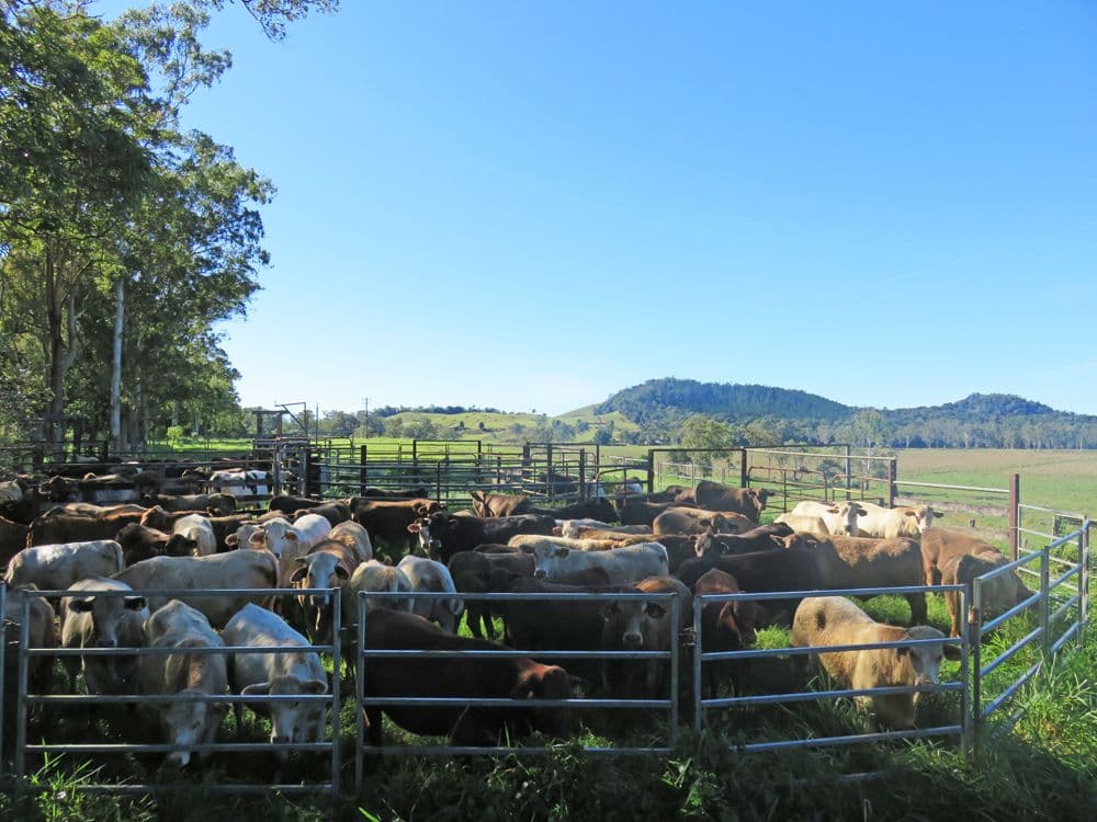 Atherton QLD 4883, Atherton - Thumbnail 5