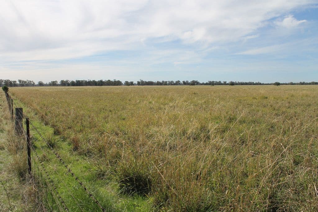 'Lindley' Milpulling Road, Balladoran NSW 2831, Balladoran - Thumbnail 3