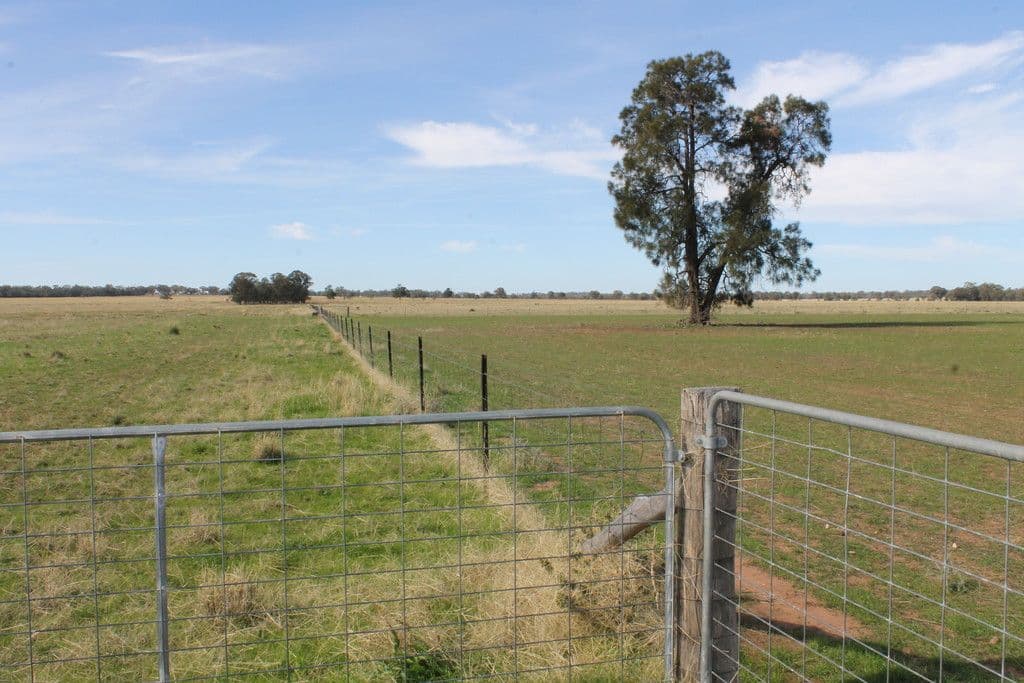 'Lindley' Milpulling Road, Balladoran NSW 2831, Balladoran - Thumbnail 5
