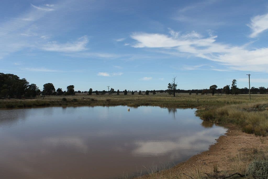 'Lindley' Milpulling Road, Balladoran NSW 2831, Balladoran - Thumbnail 2