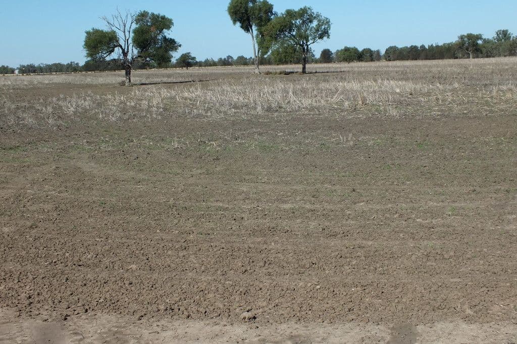 1 Kioma Road, Goondiwindi QLD 4390, Goondiwindi - Thumbnail 5
