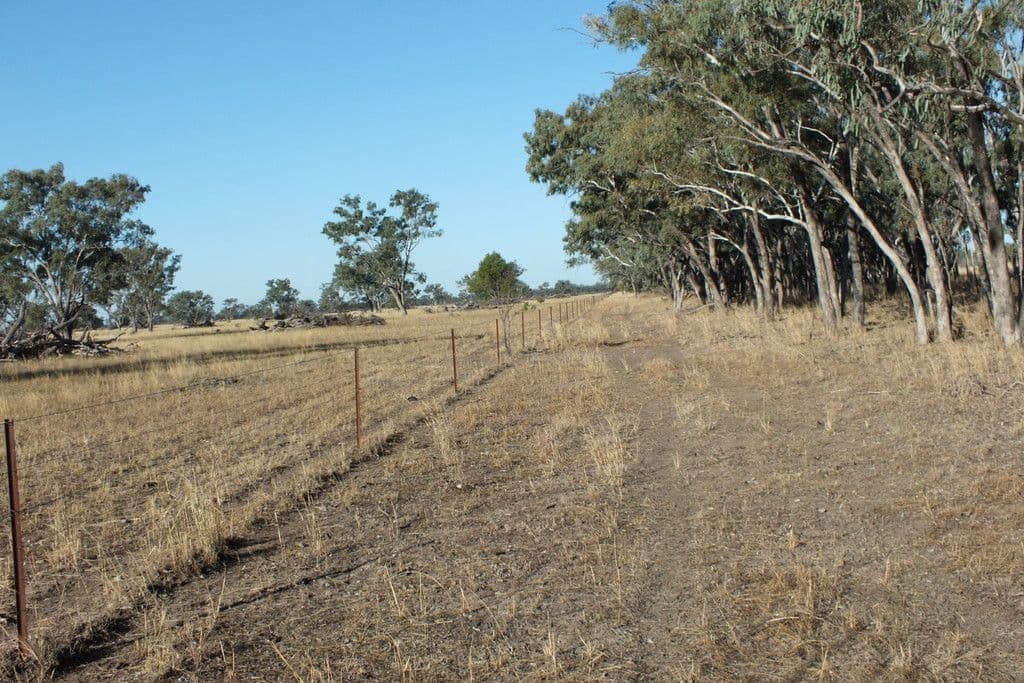 1 Kioma Road, Goondiwindi QLD 4390, Goondiwindi - Thumbnail 8