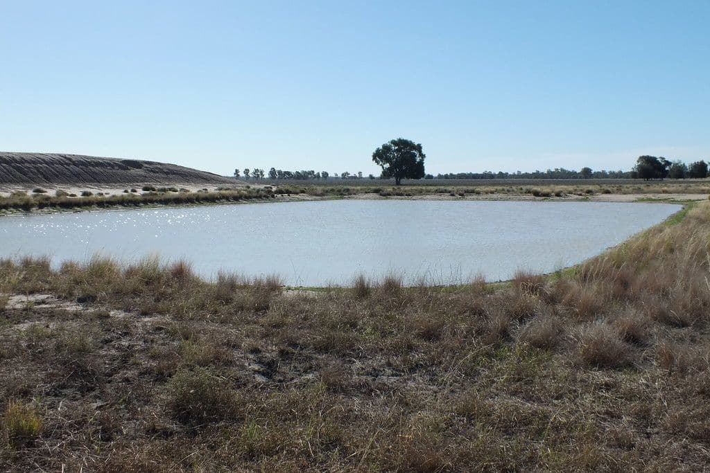 1 Kioma Road, Goondiwindi QLD 4390, Goondiwindi - Thumbnail 4